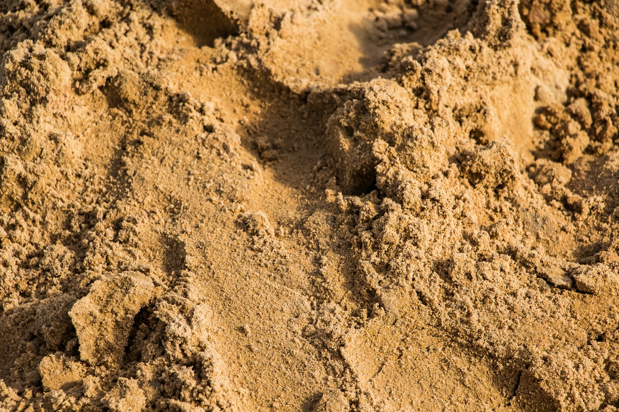 Texture of yellow building sand close up.